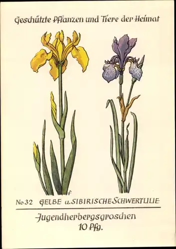 Künstler Ak Geschützte Pflanzen und Tiere der Heimat, Jugendherbergsgroschen, Schwertlilie, Iris