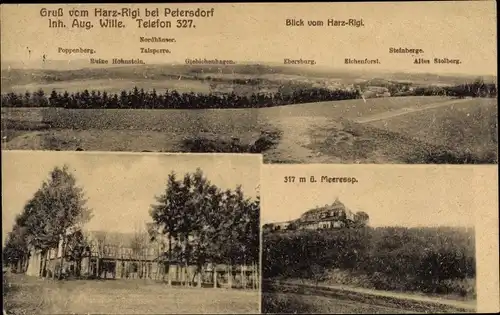 Ak Nordhausen am Harz, Gasthof Harz Rigi, Panorama