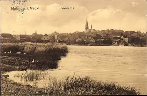 Ak Malchow in Mecklenburg, Panorama