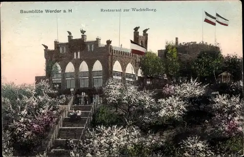Ak Werder an der Havel, Restaurant zur Wachtelburg, Baumblüte