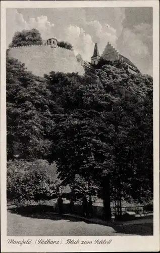 Ak Mansfeld im Harzvorland, Schloss