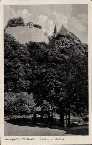 Ak Mansfeld im Harzvorland, Schloss