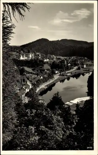 Ak Ziegenrück an der Saale Thüringen, Blick vom Rundteil