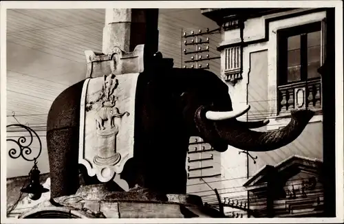 Ak Catania Sicilia, Der Elefant