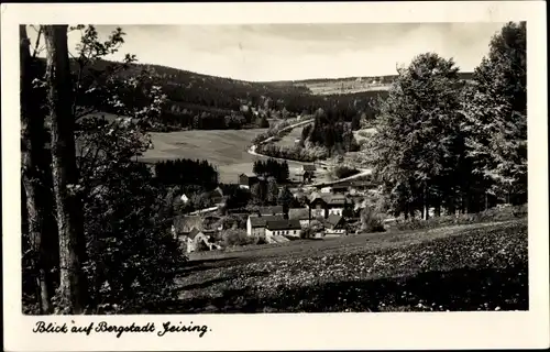 Ak Geising Altenberg im Erzgebirge, Panorama