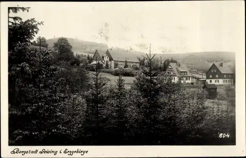 Ak Geising Altenberg im Erzgebirge, Totalansicht