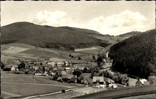 Ak Rattlar Willingen Upland in Hessen, Panorama