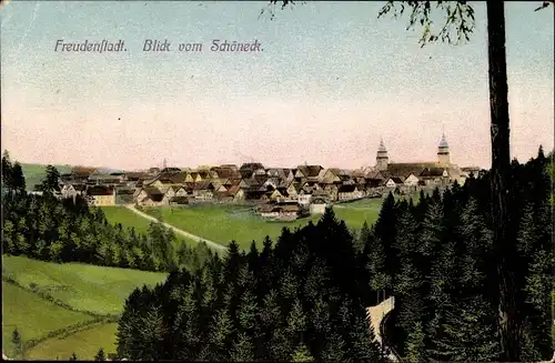 Ak Freudenstadt im Schwarzwald, Blick vom Schöneck