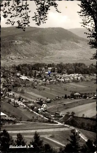 Ak Kleinheubach am Main Unterfranken, Panorama