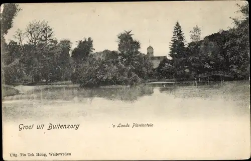 Ak Buitenzorg Bogor Java Indonesien, Nationaler Botanischer Garten