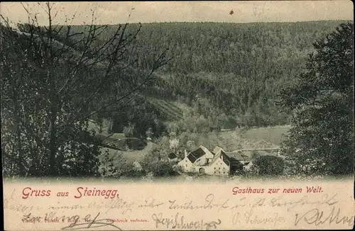 Ak Steinegg Rüte Kt. Appenzell Innerrhoden Schweiz, Gasthaus zur neuen Welt