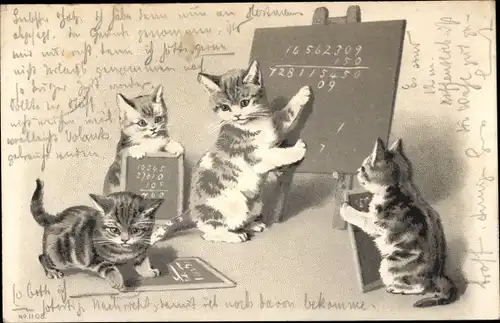 Litho Vermenschlichte Katzen mit Schultafeln