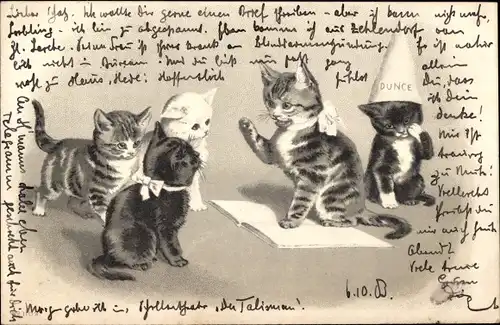 Präge Künstler Ak Vermenschlichte Katzen in der Schule, Buch, Spitzhut