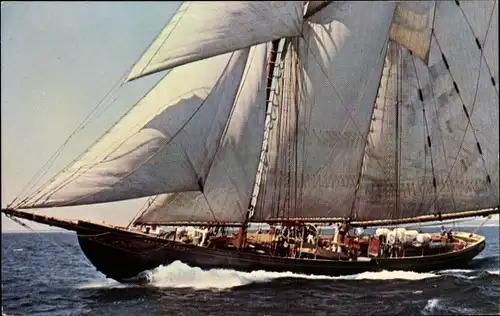 Ak Halifax Nova Scotia Kanada, Segelschiff Bluenose II, Oland & Son Ltd.