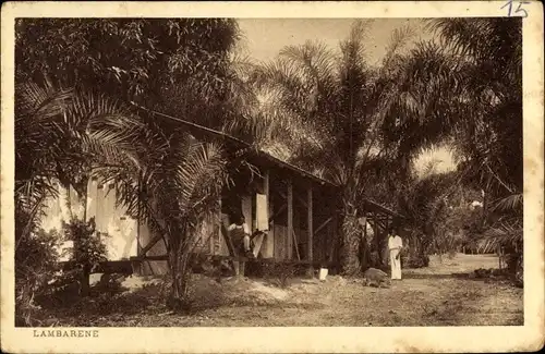 Ak Lambaréné Gabun, Dorfansicht, Anwohner, Schwein