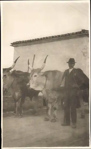 Foto Ak Firenze Florenz Toscana, Bauer mit Rindern