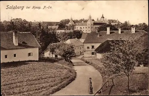 Ak Haag Niederösterreich, Teilansicht, Schloss Salaberg