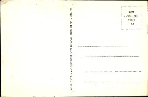 Ak Dobel im Schwarzwald, Aussichtsturm