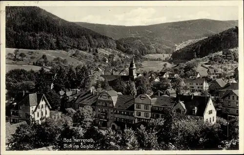 Ak Bad Herrenalb, Blick ins Gaistal