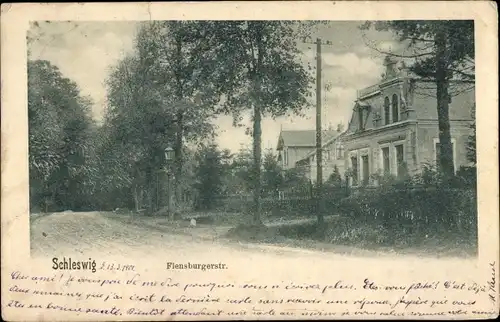 Ak Schleswig an der Schlei, Flensburgerstraße