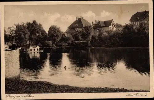 Ak Harzgerode am Harz, Am Torteich
