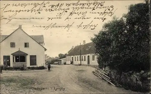 Ak Lyngby Danmark, Gradeparti