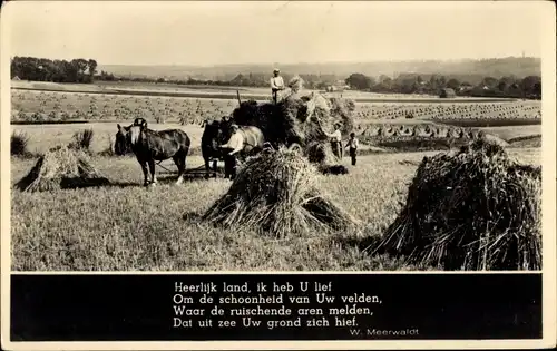 Gedicht Ak Gelderland Niederlande, Heu einsammeln, Gedicht v. W. Meerwaldt