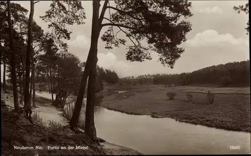 Ak Dębno Neudamm Neumark Ostbrandenburg, Partie am Fluss, Wald