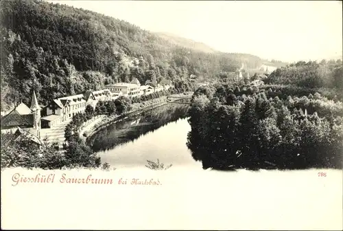 Ak Kyselka Gießhübl Giesshübl Sauerbrunn Region Karlsbad, Panorama, Fluss, Häuser, Wald