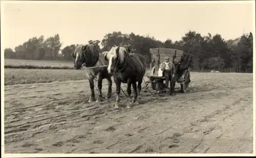 Foto Ak Genappe Wallonisch Brabant, Bauer mit Pferdekarren auf dem Feld