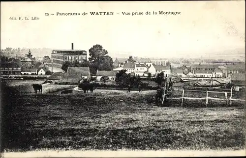 Ak Watten Nord, Vue prise de la Montagne, boeufs