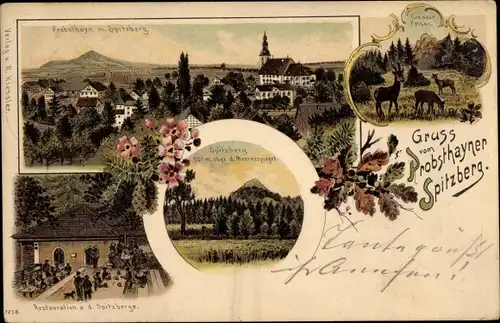 Litho Proboszczów Probsthain Probsthayn Schlesien, Spitzberg, Blick auf den Ort, Restauration