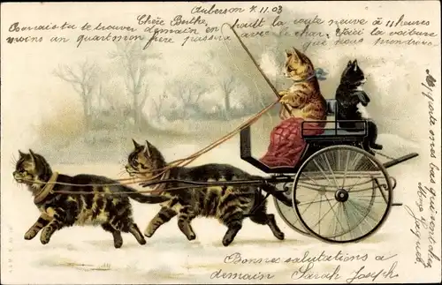 Litho Vermenschlichte Katzen, Kutsche