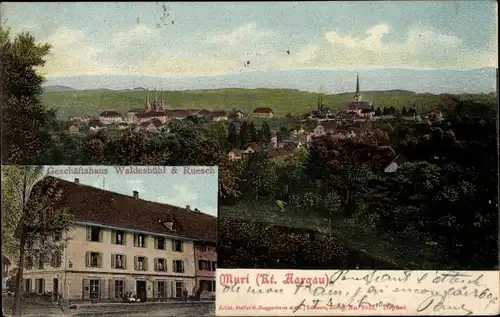 Ak Muri Kanton Aargau, Geschäftshaus Waldesbühl und Ruesch, Panorama