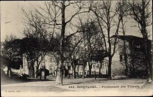 Ak Montluel-Ain, Promenade des Tilleuls