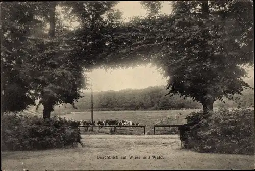 Ak Israelsdorf Sankt Gertrud Hansestadt Lübeck, Durchblick auf Wiese, Wald, Kühe