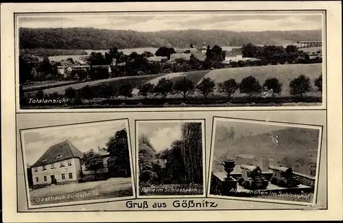Ak Gößnitz an der Poststraße, Totalansicht, Gasthaus, Schlosspark, Alte Kanonen im Schlosshof