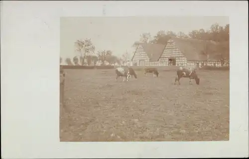 Foto Ak Lübbecke in Westfalen, Bauernhof, Kühe weiden, Fachwerk