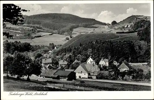 Ak Berlebeck Detmold im Teutoburger Wald, Panorama