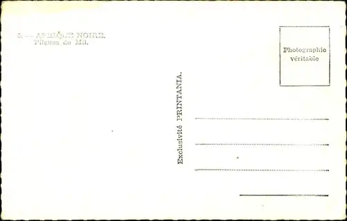 AK Schwarzafrika, Millet Piller