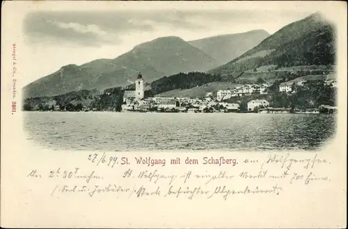 Ak St. Wolfgang im Salzkammergut Oberösterreich, Teilansicht, Schafberg