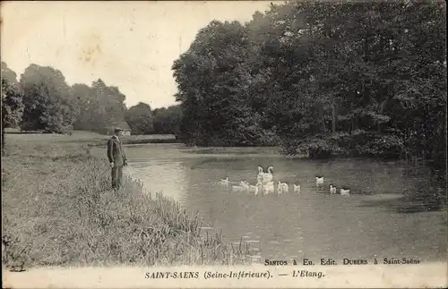 Ak Saint-Saens Seine Maritime, Teich