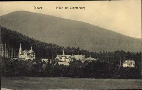 Ak Tabarz im Thüringer Wald, Villen am Zimmerberg