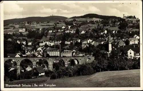 Ak Sebnitz Sächsische Schweiz, Panorama, Tanzplan, Viadukt