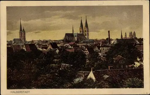 Ak Halberstadt in Sachsen Anhalt, Gesamtansicht, Dom, Kirche
