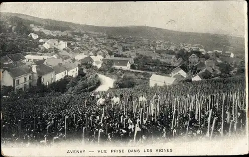 Ak Avenay Marne, Blick in die Weinberge