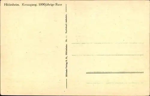 Ak Hildesheim in Niedersachsen, Kreuzgang, 1000jährige Rose