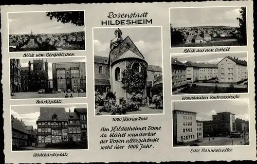 Ak Hildesheim, Marktplatz, 1000jährige Rose, Godehardiplatz, Wohnbauten Andreasstraße, Bahnhofsallee