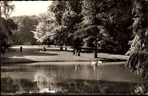 Ak Neuss am Rhein, Stadtgarten