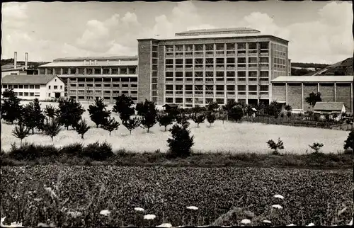 Ak Ochsenfurt am Main Unterfranken, Zuckerfabrik